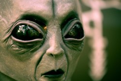 aliens-gov-aliens-gov-scrubbed-after-whi.jpg